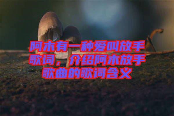 阿木有一種愛叫放手歌詞，介紹阿木放手歌曲的歌詞含義