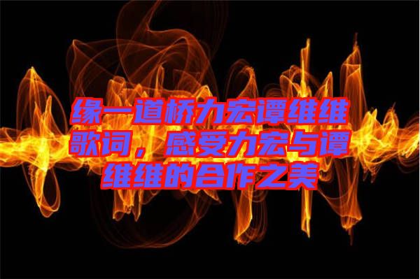 緣一道橋力宏譚維維歌詞，感受力宏與譚維維的合作之美