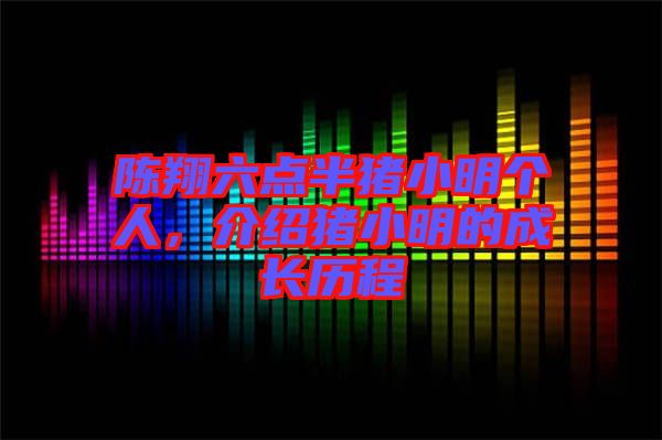 陳翔六點半豬小明個人，介紹豬小明的成長歷程