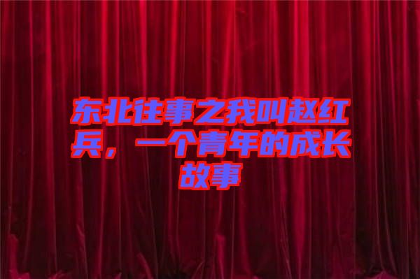 東北往事之我叫趙紅兵，一個青年的成長故事