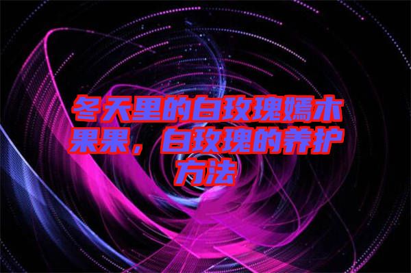 冬天里的白玫瑰嫣木果果，白玫瑰的養(yǎng)護(hù)方法