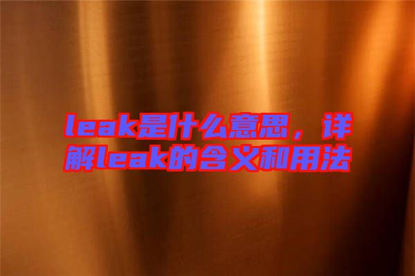 leak是什么意思，詳解leak的含義和用法