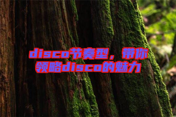 disco節(jié)奏型，帶你領(lǐng)略disco的魅力