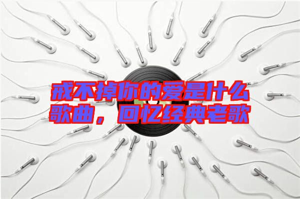 戒不掉你的愛是什么歌曲，回憶經典老歌