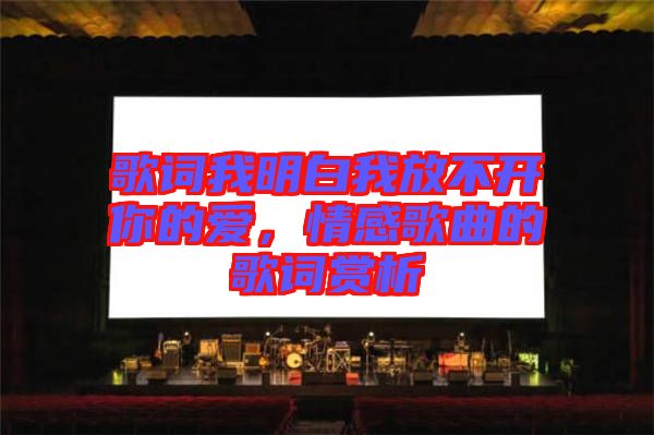 歌詞我明白我放不開你的愛，情感歌曲的歌詞賞析