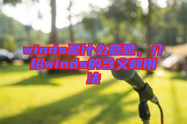 winds是什么意思，介紹winds的含義和用法