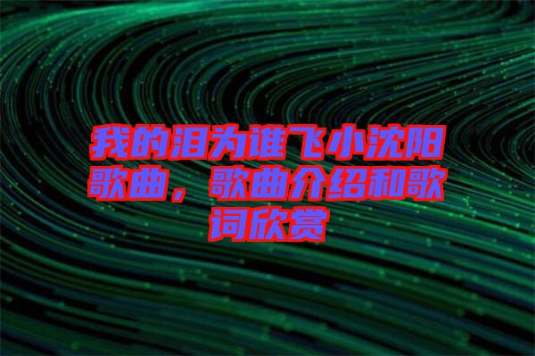 我的淚為誰飛小沈陽歌曲，歌曲介紹和歌詞欣賞