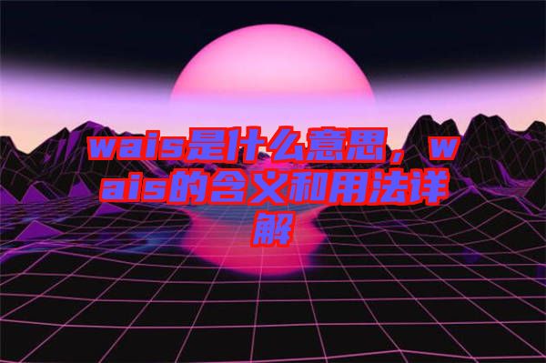 wais是什么意思，wais的含義和用法詳解