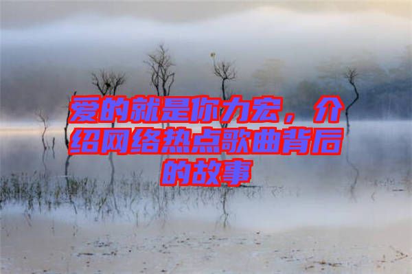 愛的就是你力宏，介紹網(wǎng)絡(luò)熱點歌曲背后的故事