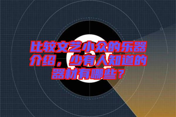 比較文藝小眾的樂(lè)器介紹，少有人知道的器材有哪些？