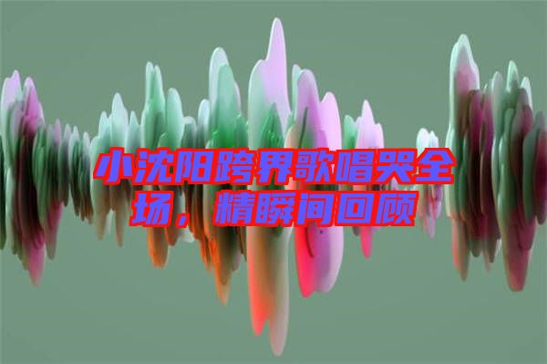 小沈陽跨界歌唱哭全場，精瞬間回顧
