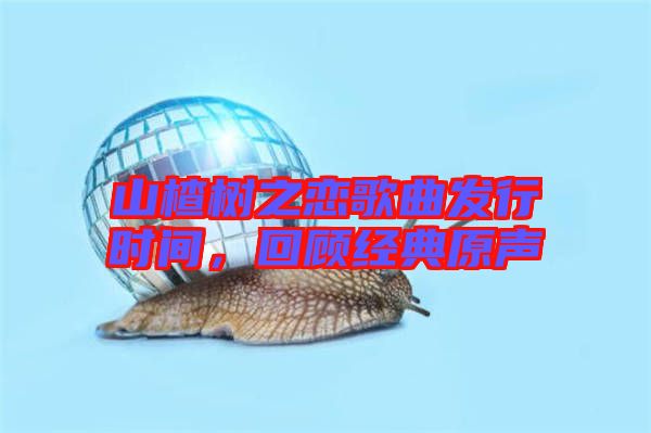 山楂樹之戀歌曲發(fā)行時(shí)間，回顧經(jīng)典原聲