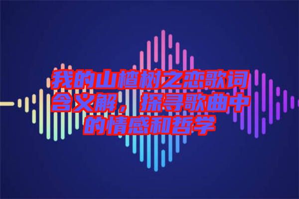 我的山楂樹之戀歌詞含義解，探尋歌曲中的情感和哲學(xué)