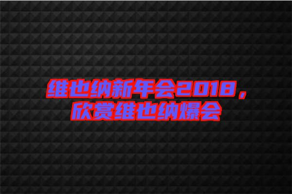 維也納新年會2018，欣賞維也納爆會