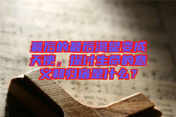 最后的最后渴望變成天使，探討生命的意義和歸宿是什么？