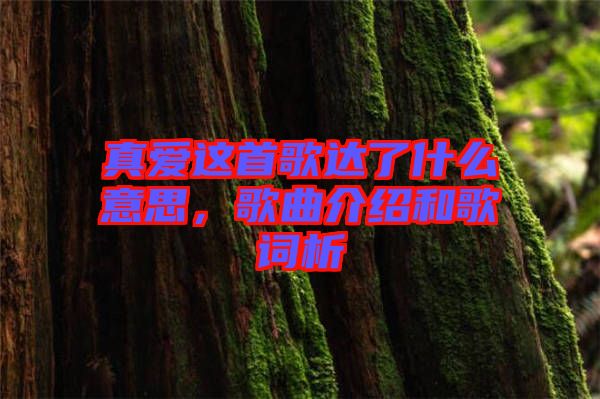 真愛(ài)這首歌達(dá)了什么意思，歌曲介紹和歌詞析