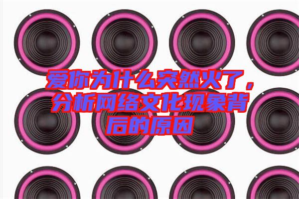 愛(ài)你為什么突然火了，分析網(wǎng)絡(luò)文化現(xiàn)象背后的原因