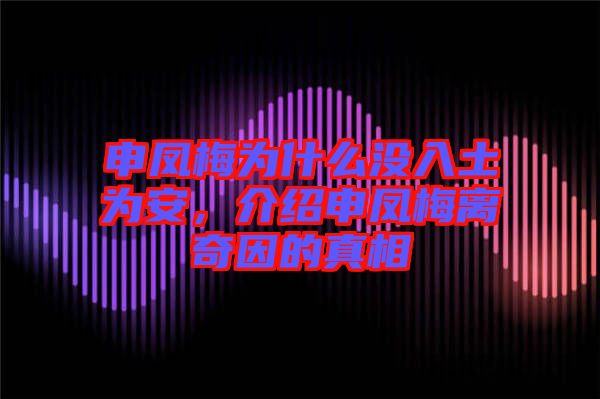 申鳳梅為什么沒入土為安，介紹申鳳梅離奇因的真相