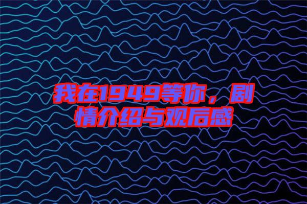 我在1949等你，劇情介紹與觀后感