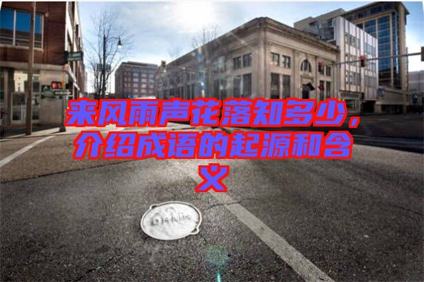 來風(fēng)雨聲花落知多少，介紹成語的起源和含義