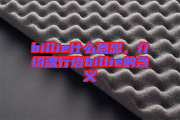 billie什么意思，介紹流行語billie的含義