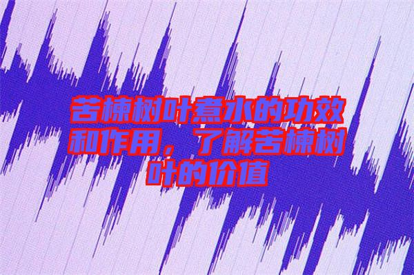 苦楝樹葉煮水的功效和作用，了解苦楝樹葉的價值