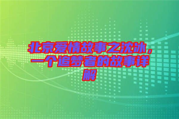 北京愛情故事之沈冰，一個追夢者的故事詳解