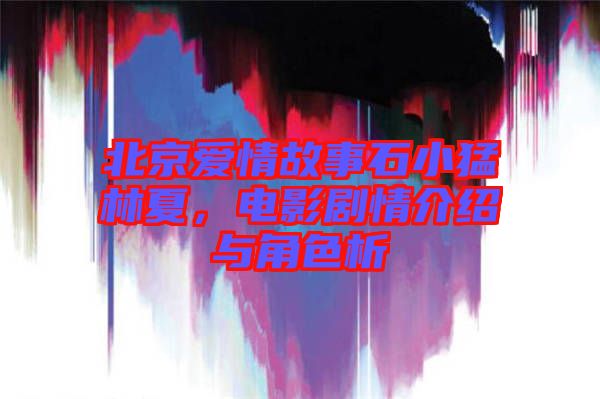 北京愛(ài)情故事石小猛林夏，電影劇情介紹與角色析