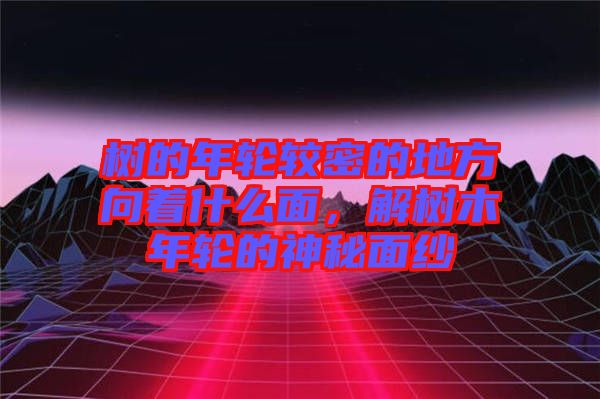 樹的年輪較密的地方向著什么面，解樹木年輪的神秘面紗