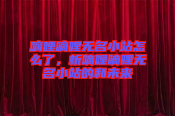 嘀哩嘀哩無名小站怎么了，析嘀哩嘀哩無名小站的和未來