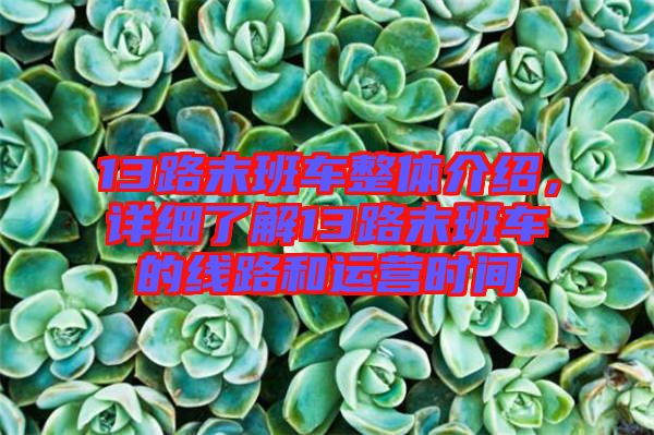 13路末班車整體介紹，詳細(xì)了解13路末班車的線路和運(yùn)營時間