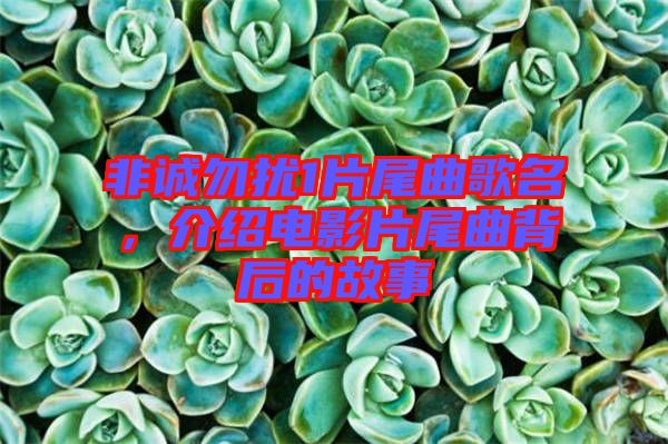 非誠勿擾1片尾曲歌名，介紹電影片尾曲背后的故事