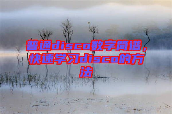 普通disco數(shù)字簡譜，快速學習disco的方法