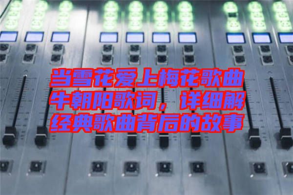 當(dāng)雪花愛上梅花歌曲牛朝陽歌詞，詳細(xì)解經(jīng)典歌曲背后的故事