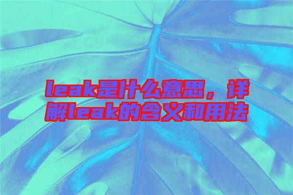leak是什么意思，詳解leak的含義和用法