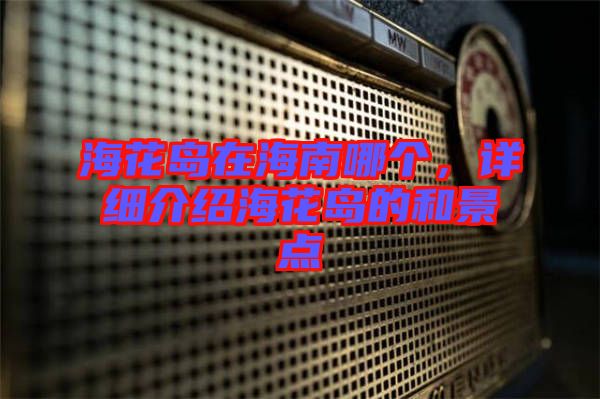?；◢u在海南哪個(gè)，詳細(xì)介紹?；◢u的和景點(diǎn)