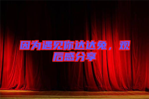 因為遇見你達達兔，觀后感分享