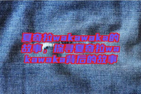 夏奇拉wakawaka的故事，探尋夏奇拉wakawaka背后的故事