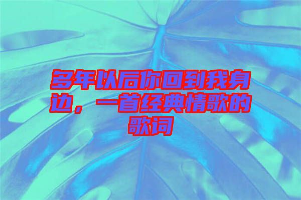 多年以后你回到我身邊，一首經(jīng)典情歌的歌詞