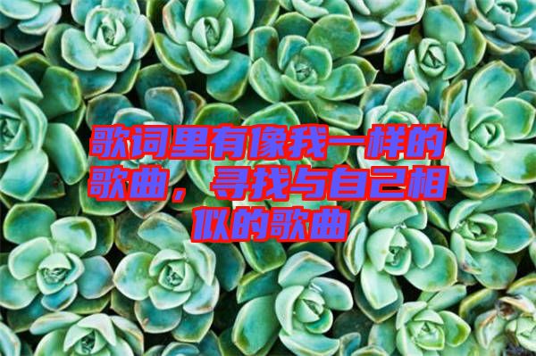 歌詞里有像我一樣的歌曲，尋找與自己相似的歌曲