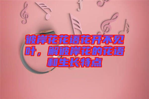 彼岸花花語花開不見葉，解彼岸花的花語和生長特點(diǎn)