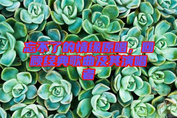 忘不了的情緣原唱，回顧經(jīng)典歌曲及其演唱者