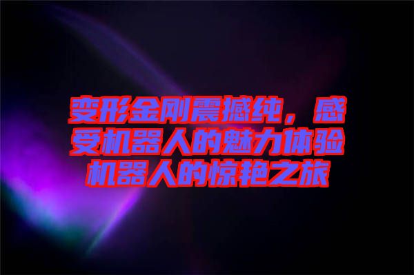 變形金剛震撼純，感受機(jī)器人的魅力體驗(yàn)機(jī)器人的驚艷之旅