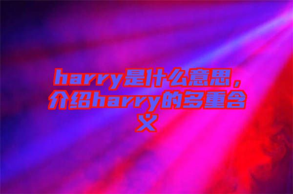 harry是什么意思，介紹harry的多重含義