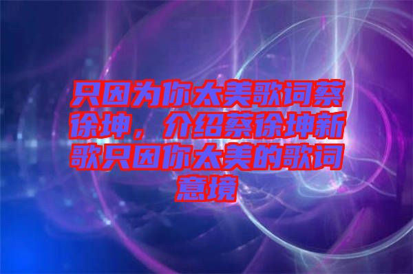 只因為你太美歌詞蔡徐坤，介紹蔡徐坤新歌只因你太美的歌詞意境
