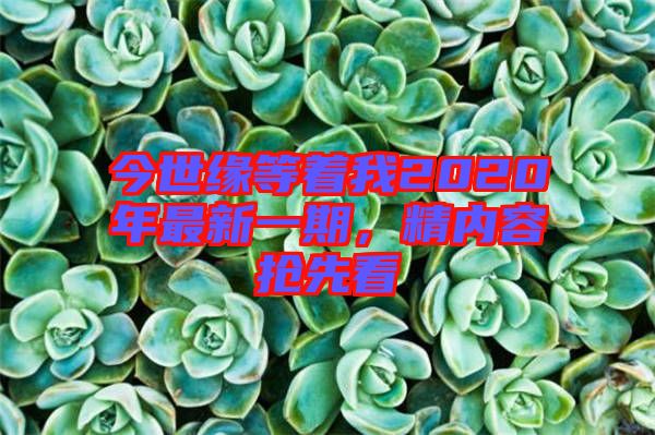 今世緣等著我2020年最新一期，精內(nèi)容搶先看
