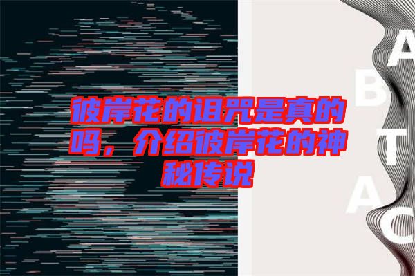 彼岸花的詛咒是真的嗎，介紹彼岸花的神秘傳說