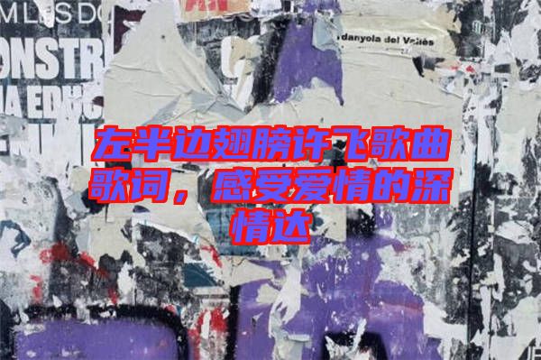 左半邊翅膀許飛歌曲歌詞，感受愛情的深情達(dá)