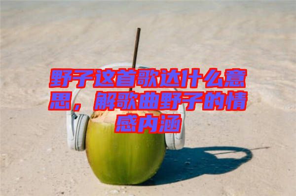 野子這首歌達什么意思，解歌曲野子的情感內(nèi)涵