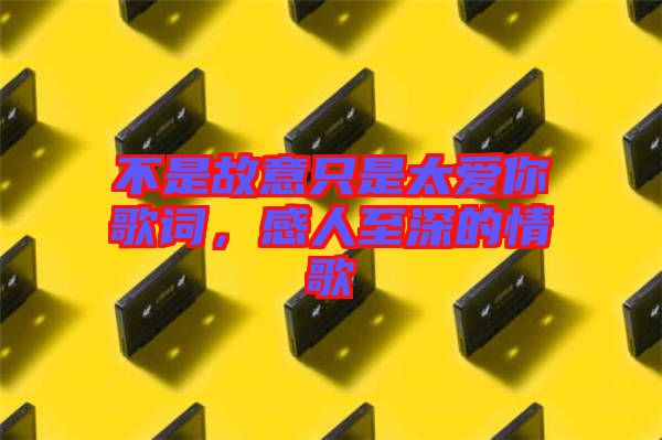 不是故意只是太愛你歌詞，感人至深的情歌